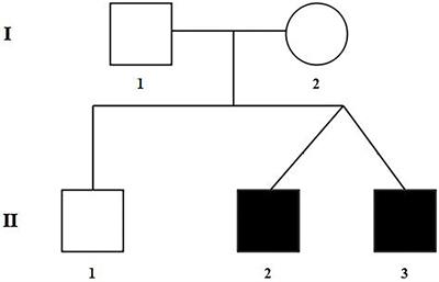 Case Report: Tetralogy of Fallot in a Chinese Family Caused by a Novel Missense Variant of MYOM2